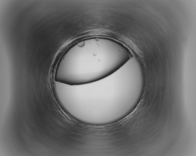 X0000116671164200912140939