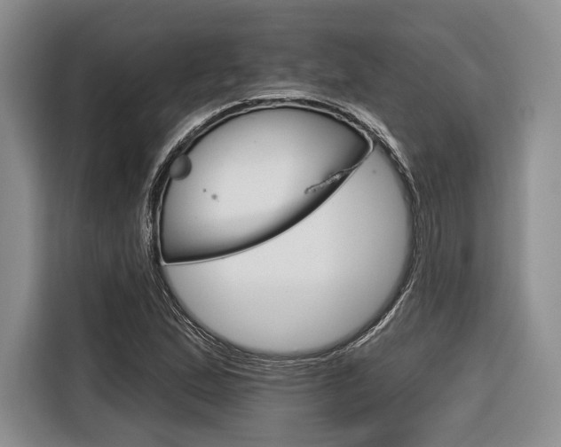 X0000116671167200912140939