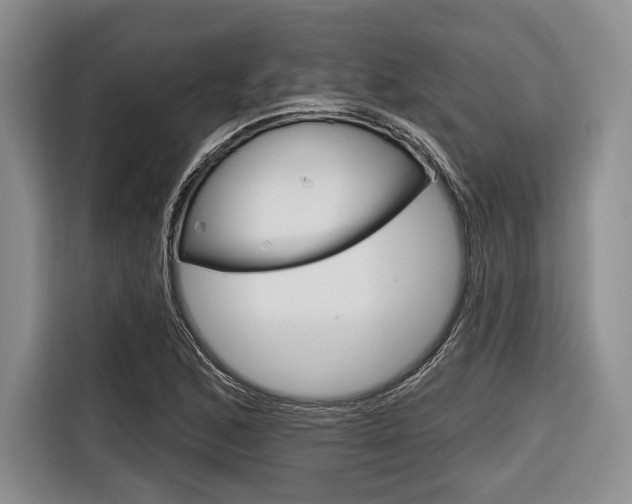 X0000116671168200912140939