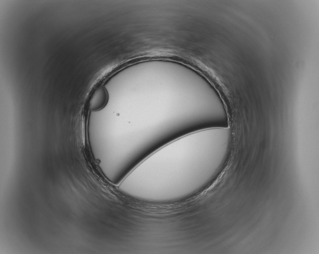 X0000116671171200912140939