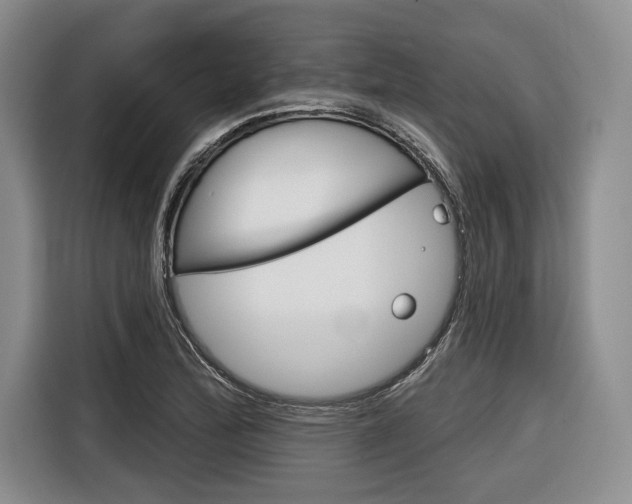 X0000116671172200912140939