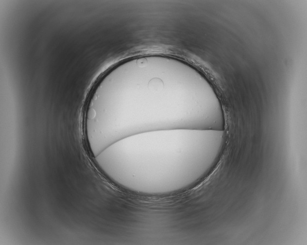 X0000116671174200912140939