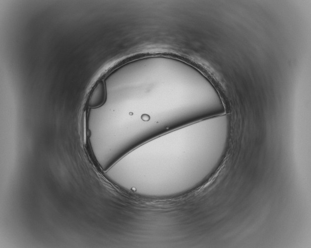 X0000116671175200912140939