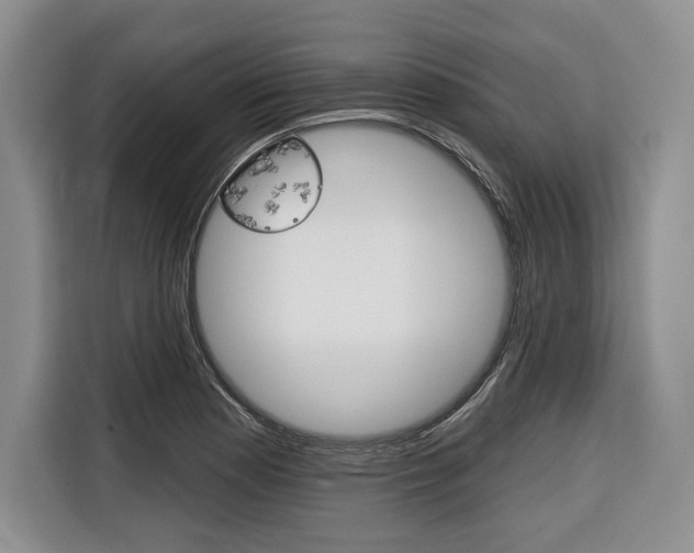 X0000116671177200912140939