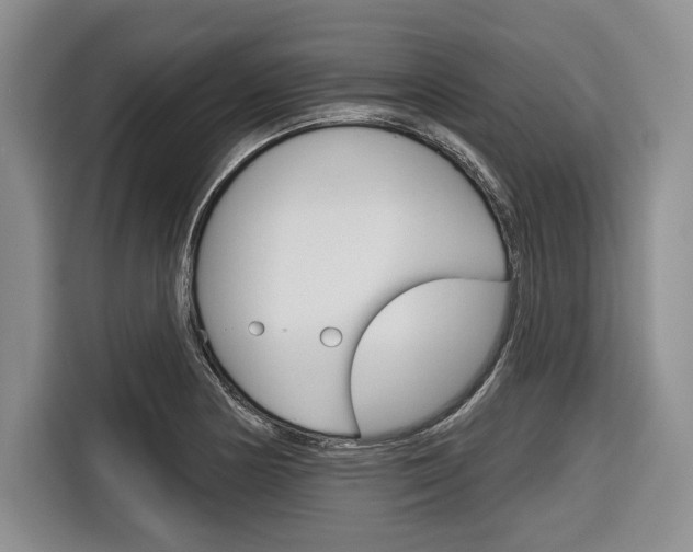 X0000116671178200912140939
