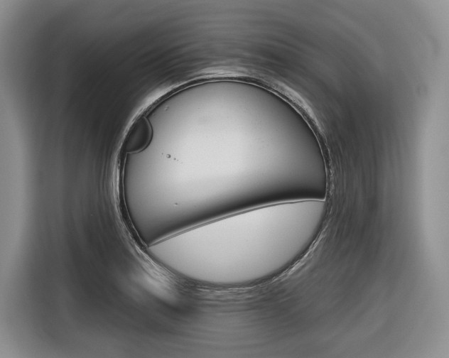 X0000116671179200912140939