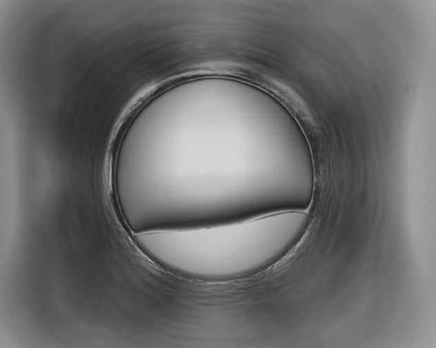 X0000116671180200912140939