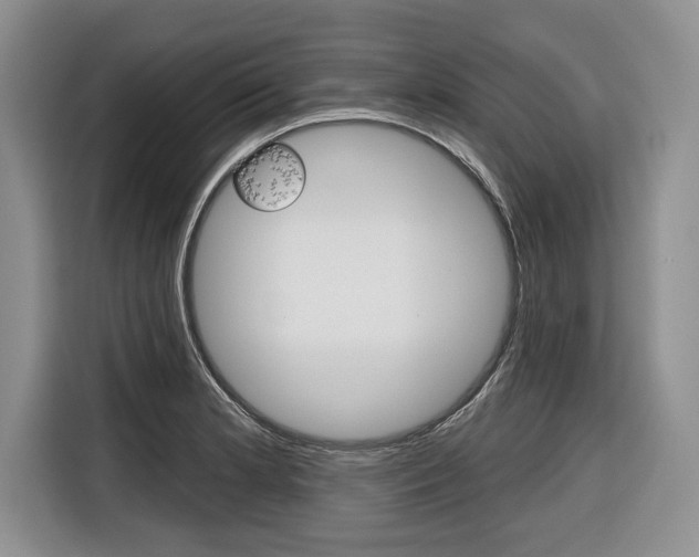 X0000116671181200912140939