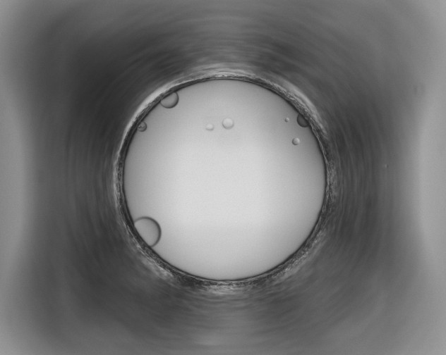 X0000116671182200912140939