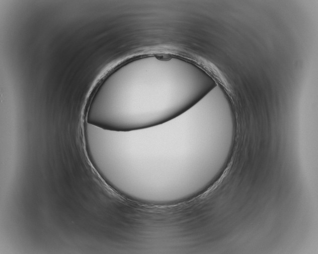 X0000116671184200912140939