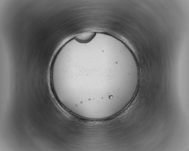 X0000116671187200912140939