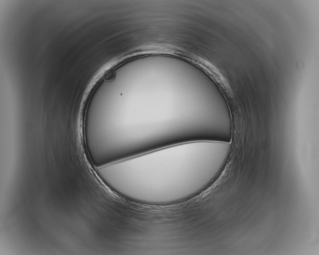 X0000116671188200912140939