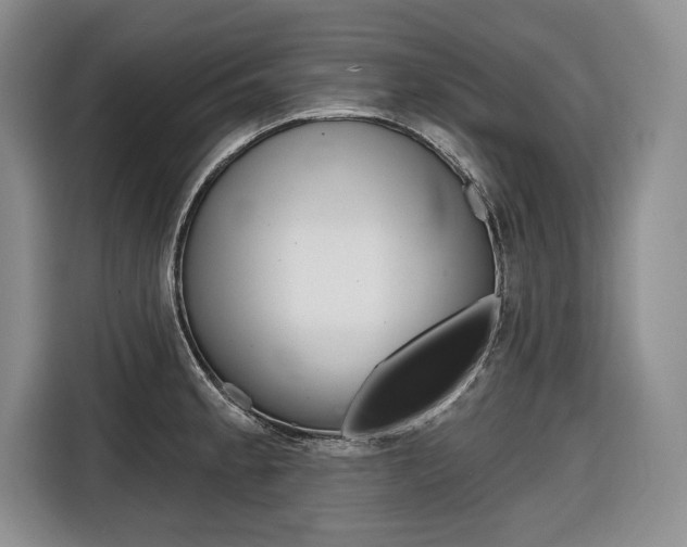 X0000116671189200912140939