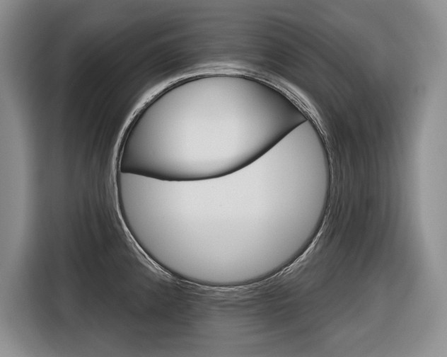X0000116671192200912140939