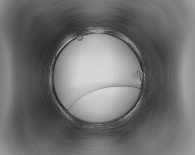X0000116671194200912140939