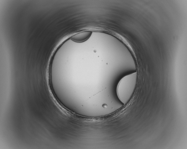 X0000116671195200912140939