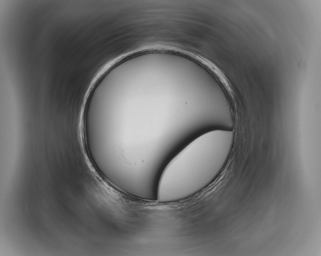 X0000116671199200912140939