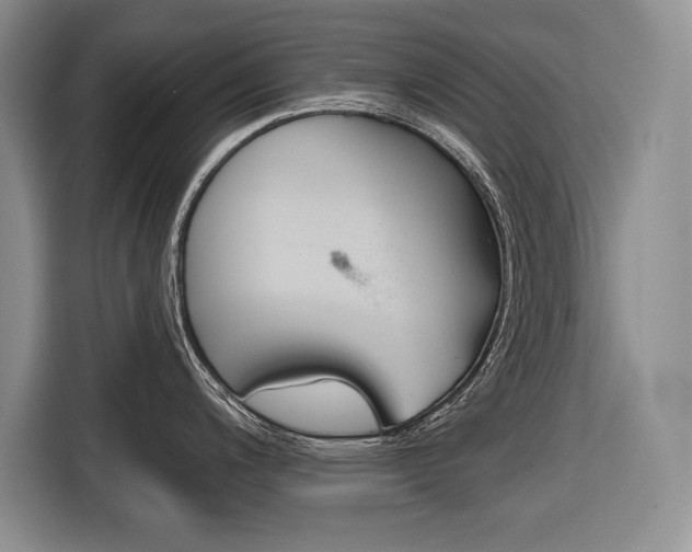 X0000116671200200912140939