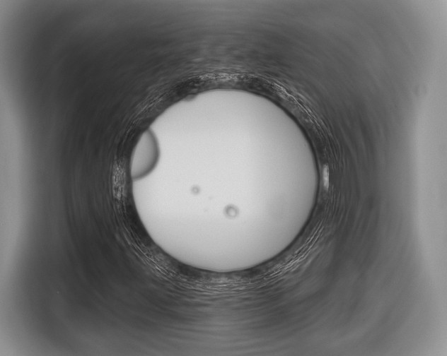 X0000116671203200912140938
