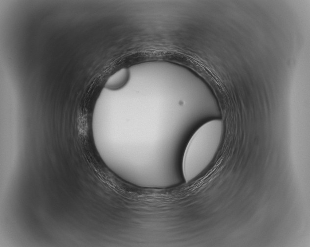 X0000116671204200912140938