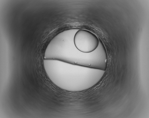 X0000116671205200912140938