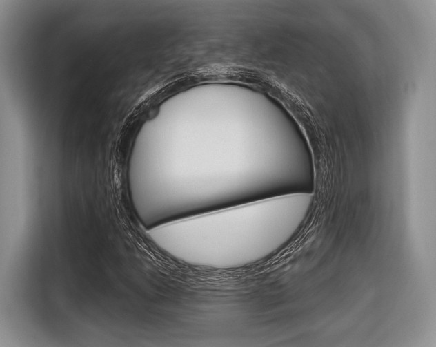 X0000116671206200912140938