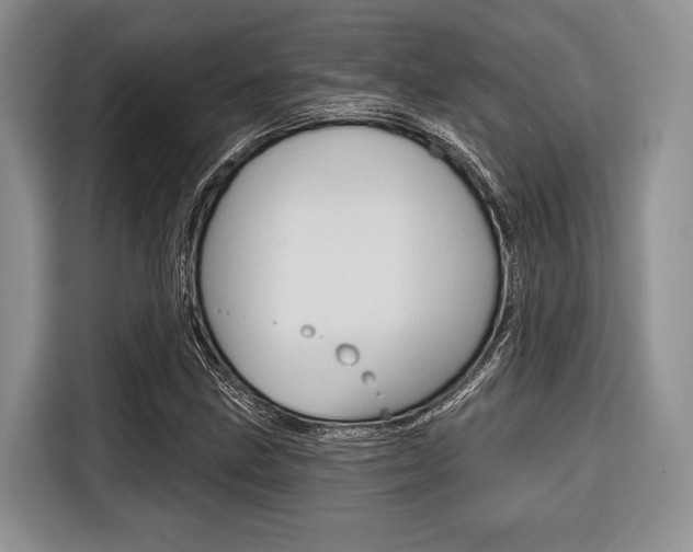 X0000116671211200912140938