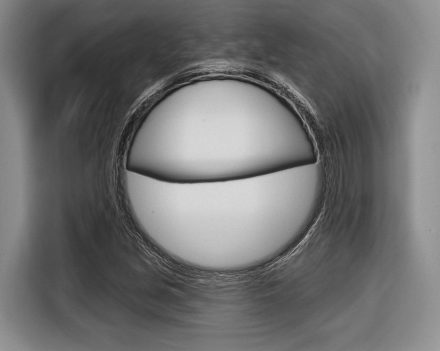 X0000116671213200912140938
