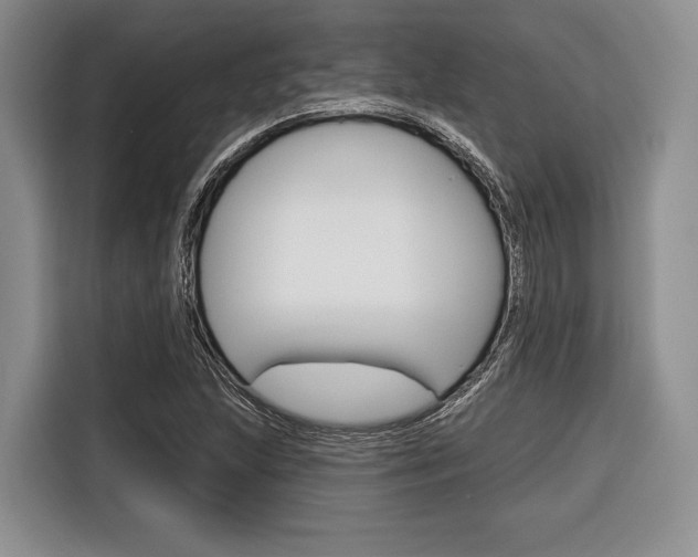 X0000116671215200912140938