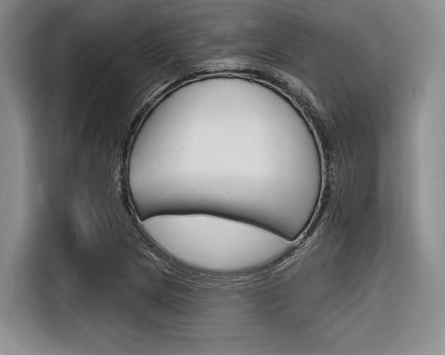 X0000116671217200912140938