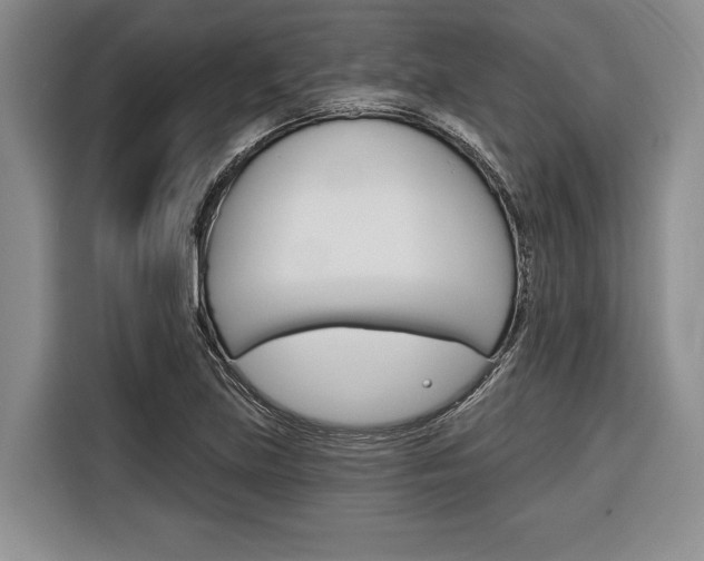 X0000116671219200912140938