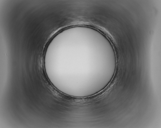 X0000116671220200912140938