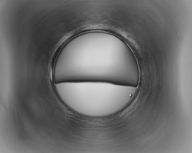 X0000116671221200912140939