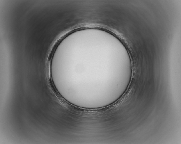 X0000116671223200912140939