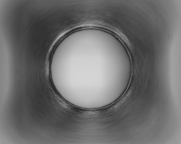 X0000116671224200912140939