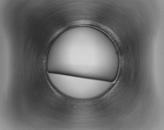 X0000116671225200912140939