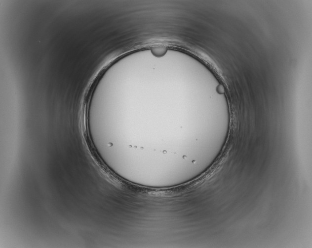X0000116671227200912140939