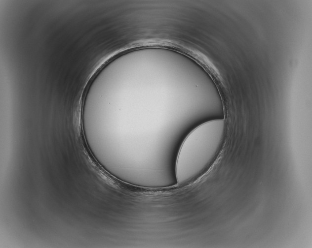 X0000116671228200912140939