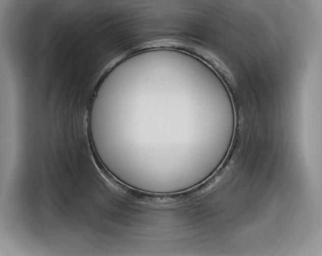 X0000116671233200912140939