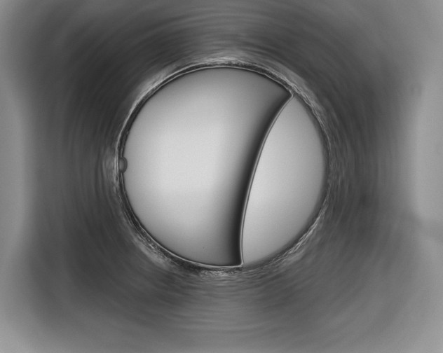 X0000116671234200912140939