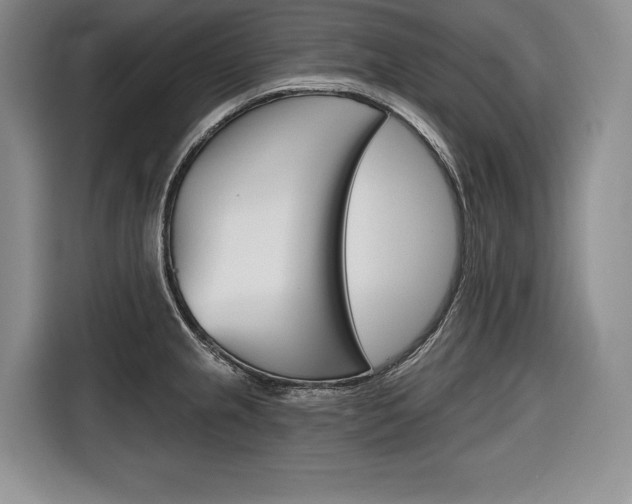 X0000116671237200912140939