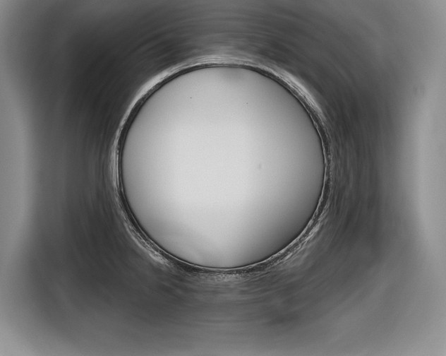 X0000116671238200912140939