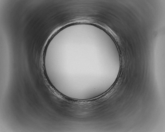 X0000116671240200912140939