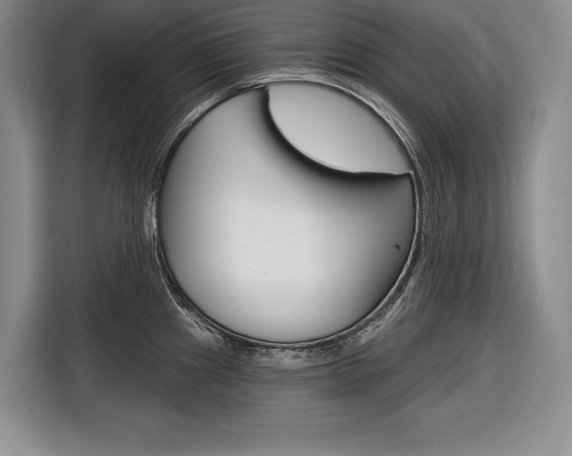 X0000116671241200912140939