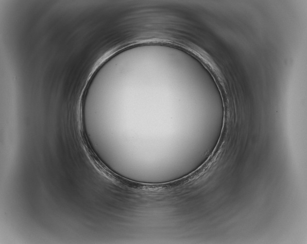 X0000116671242200912140939