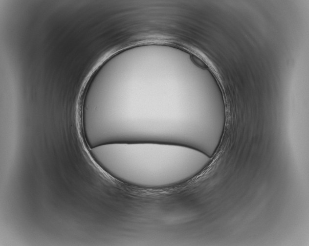 X0000116671243200912140939