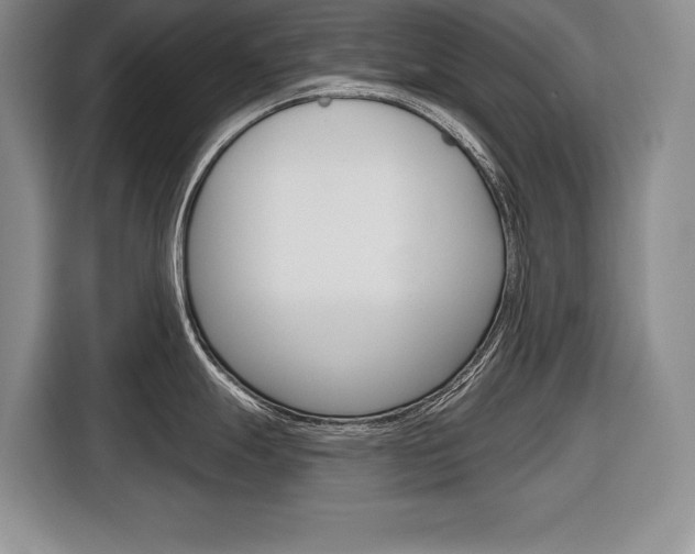 X0000116671247200912140939