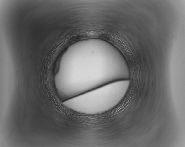 X0000116671249200912140938
