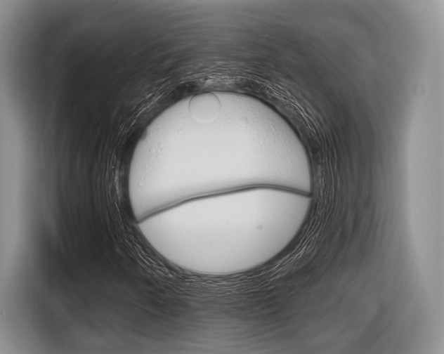 X0000116671250200912140938