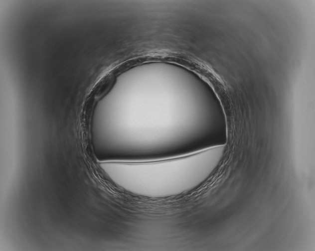 X0000116671256200912140938